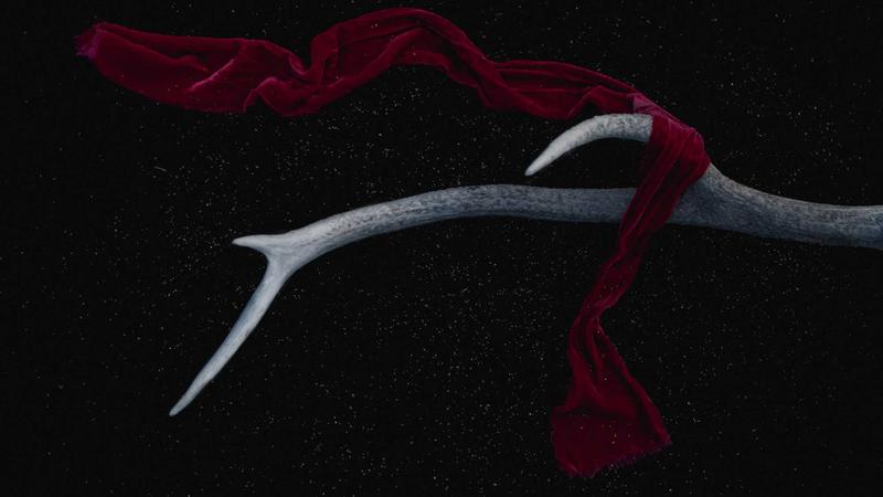 鲜花保鲜的十个实用技巧